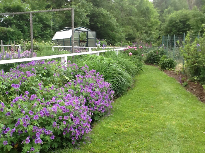 liz_le_serviget-image-4