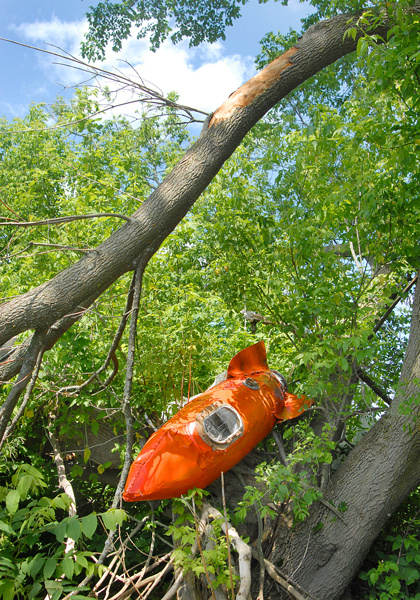 Rocket by Matt Neckers