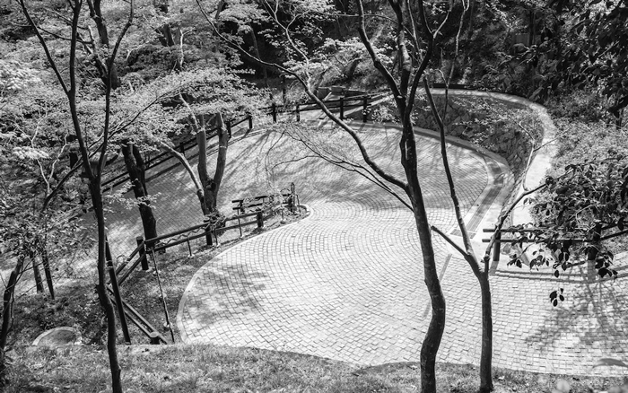 Tom-Wies_Kyoto-Garden-Export-1