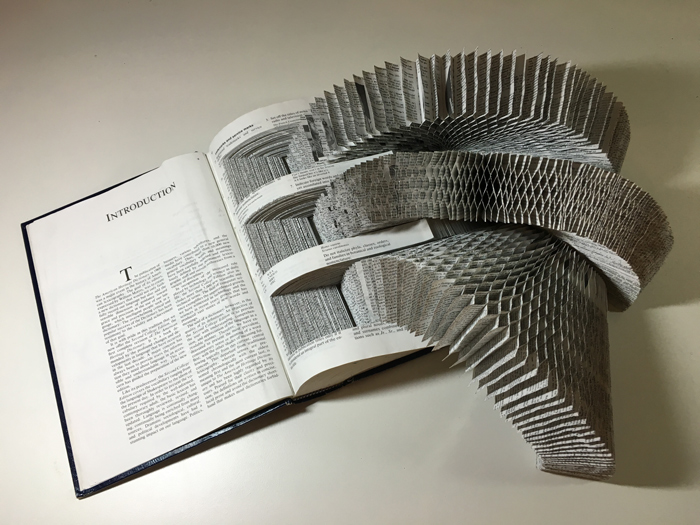 dorsey-hogg-in-unbound-vi