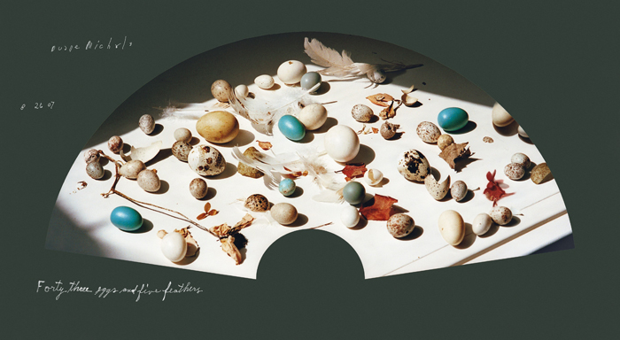 duane-michals-forty-three-eggs-and-five-feathers