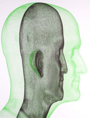 Untitled (green, black heads) by Richard Dupont (60"x40", unique archival inkjet print, 2007) Private Collection. Photo courtesy of the artist.